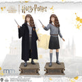 HERMIONE GRANGER