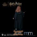 HERMIONE GRANGER