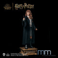HERMIONE GRANGER