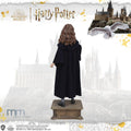 HERMIONE GRANGER