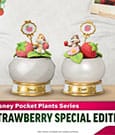 Disney Mini Diorama Stage Statuen Pocket Plants Series Strawberry Special Edition Set 12 cm
