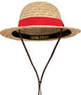 One Piece Hat Luffy Straw Hat