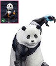 Jujutsu Kaisen ARTFXJ Statue 1/8 Panda Bonus Edition 19 cm