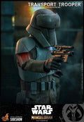 Star Wars The Mandalorian Actionfigur 1/6 Transport Trooper 31 cm
