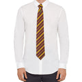 Harry Potter Tie & Lapel Pin Deluxe Box Gryffindor