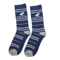Harry Potter socks 3 pack Ravenclaw