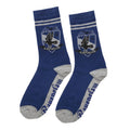 Harry Potter socks 3 pack Ravenclaw