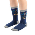 Harry Potter socks 3 pack Ravenclaw