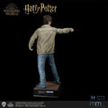 Rückansicht von Harry Potter mit brauner Cordjacke