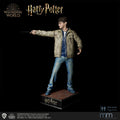 Harry Potter auf Base stehend und mit Elderstab