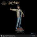 Die Base trägt das Harry Potter Logo