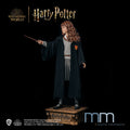 HERMIONE GRANGER