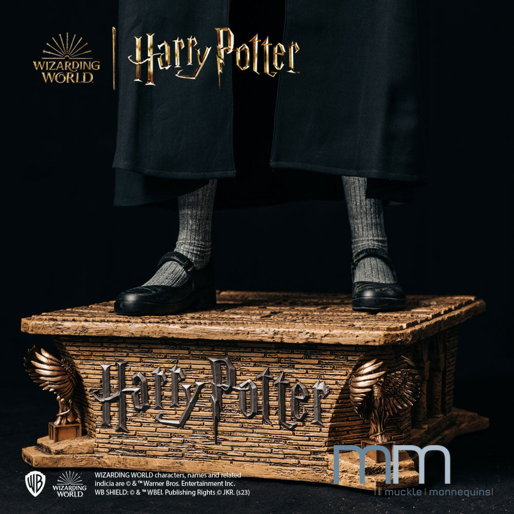 HERMIONE GRANGER