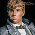 NEWT | SECRETS OF DUMBLEDORE