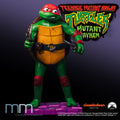 RAPHAEL