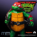 RAPHAEL