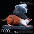 ADOLESCENT NIFFLER
