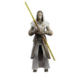 Star Wars: The Clone Wars Black Series Actionfigur Jedi Temple Guard 15 cm