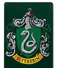 Harry Potter Blechschild Slytherin 15 x 21 cm