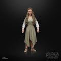 Star Wars Episode VI Black Series Actionfigur 2022 Princess Leia (Ewok Village) 15 cm