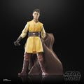 Star Wars: The Acolyte Black Series Actionfigur Jedi Knight Yord Fandar 15 cm
