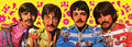 The Beatles Spielkarten Green Version