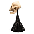 Herr der Ringe Mini Statue Skull of Lurtz 14 cm
